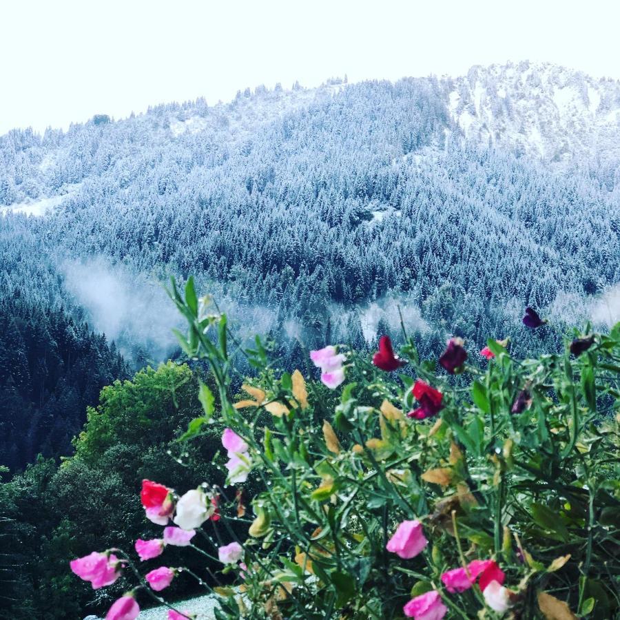 La Cote d'Arbroz 'Petite Ferme Les Bouts' Apartment, Sleeps 6, Nr Morzine מראה חיצוני תמונה
